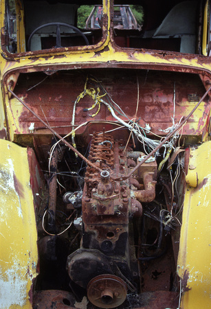 "Yellow Skeleton"