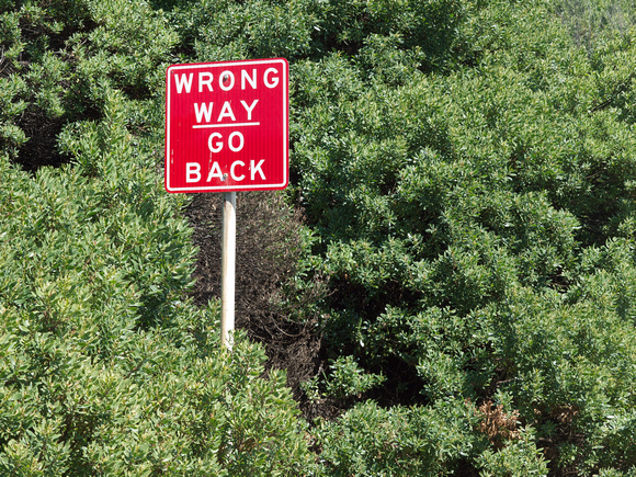 "Wrong Way..."