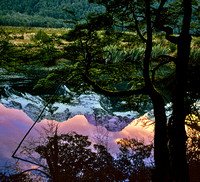 "Twilight Dualities"