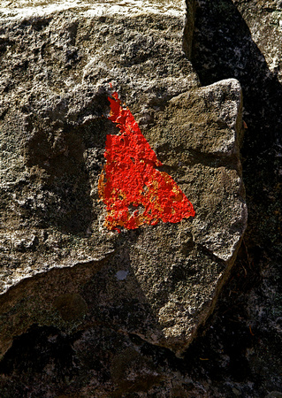 "Signs in a Landscape #1"