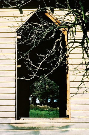 "Derelict Church with Branches"