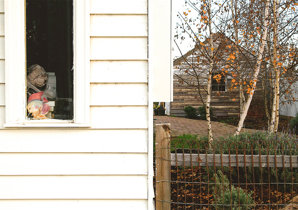 "Window with Fish, Autumn Garden"